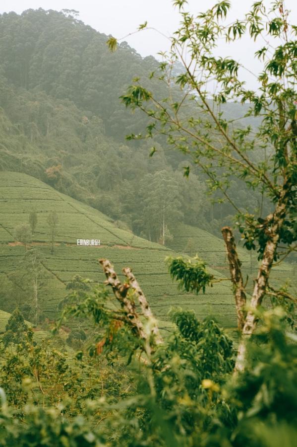 The Train View Bed & Breakfast Nuwara Eliya Exterior photo
